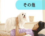 紙加工機